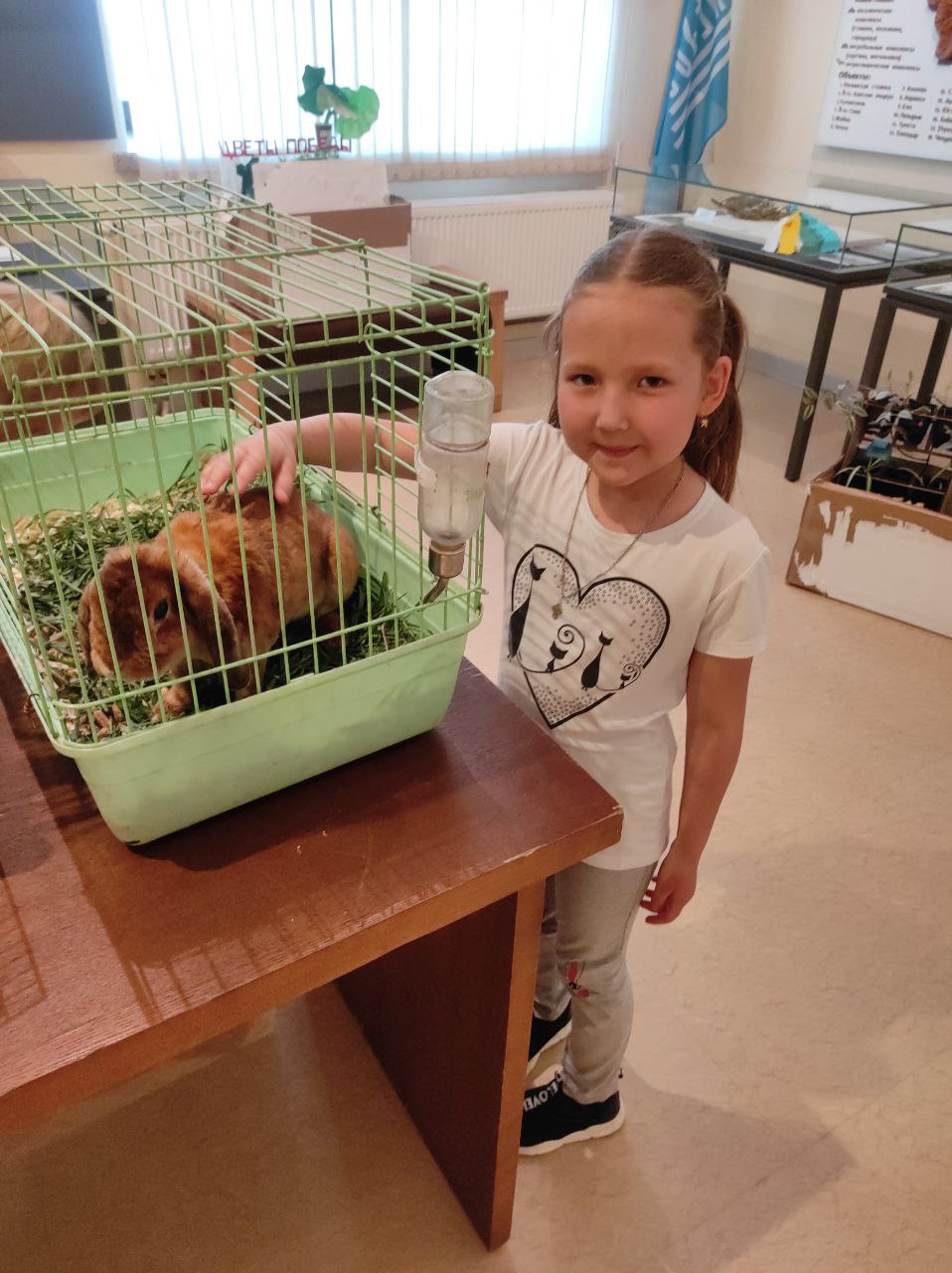 photo 2022 05 16 17 15 01