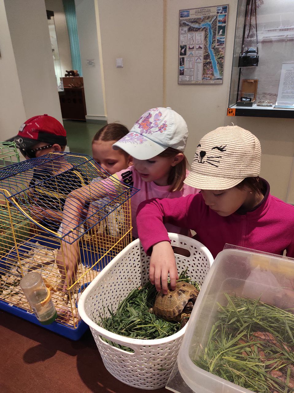 photo 2022 05 16 17 15 02 2