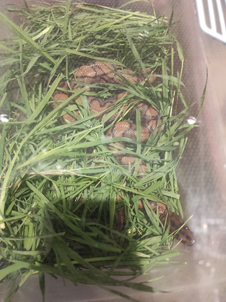 photo 2022 05 16 17 15 02 3